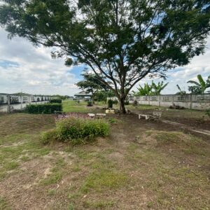 LINE_ALBUM_โครงงาน_251104_28