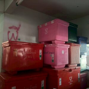 LINE_ALBUM_โครงงาน_251104_9